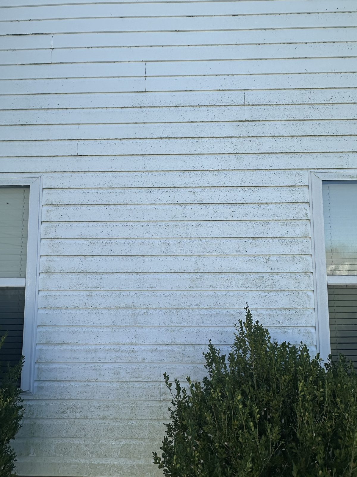 White lap siding before pressure washing, streaked with dirt, algae and green staining